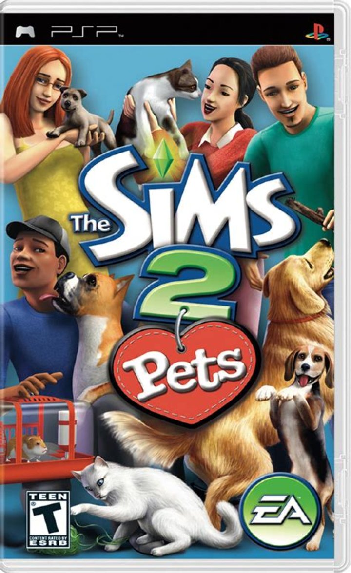 Is The Sims 2 pets the same as the Sims 2?