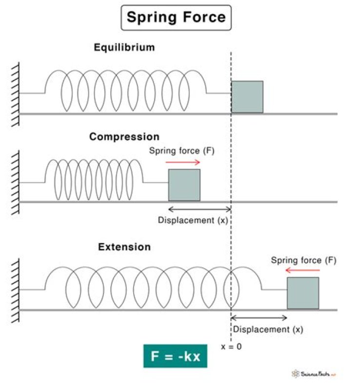 Is the spring force proportional to extension