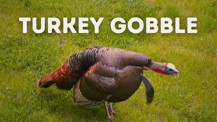Is Turkey going to amber list?
