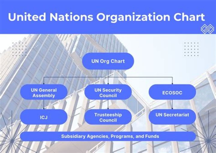 Is United Nations University good?