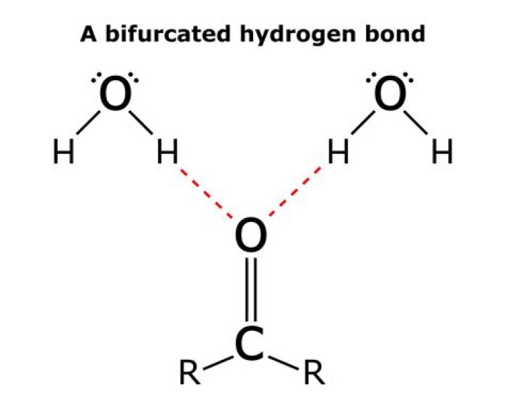 Is water a hydrogen or covalent bond