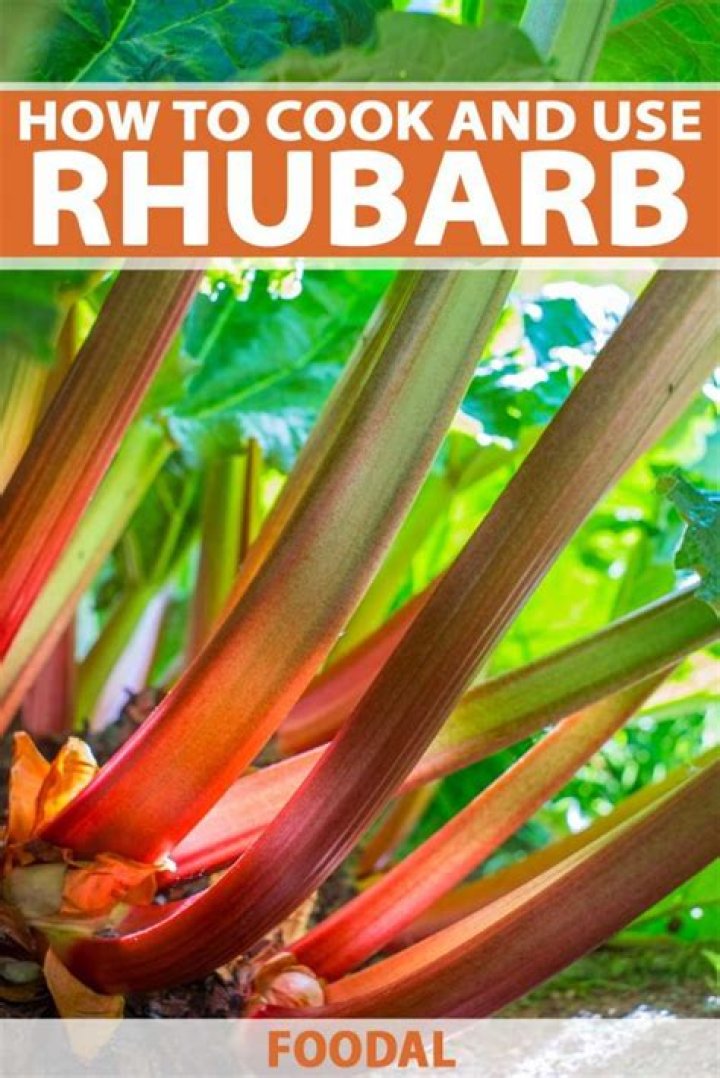 Is Wild rhubarb safe to eat