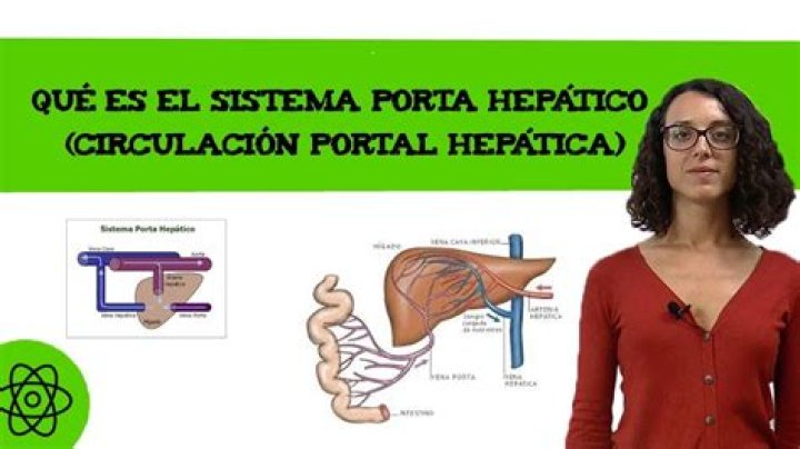 ¿Quién conforma el sistema porta