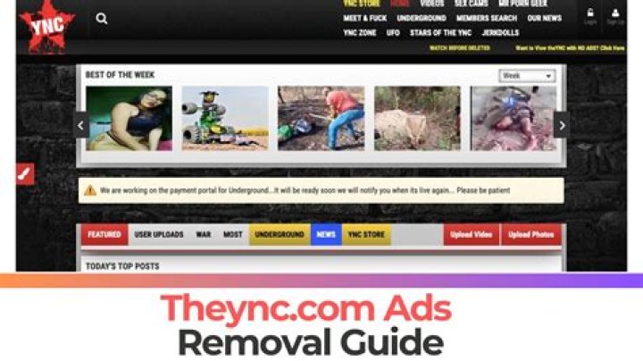 Totalwownews Ads Removal Guide — How to Fix It?