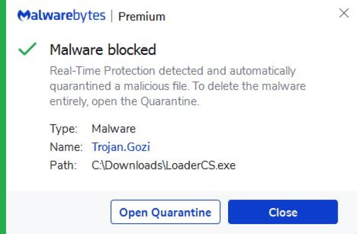 Trojan-Banker.Win32.Gozi.vho