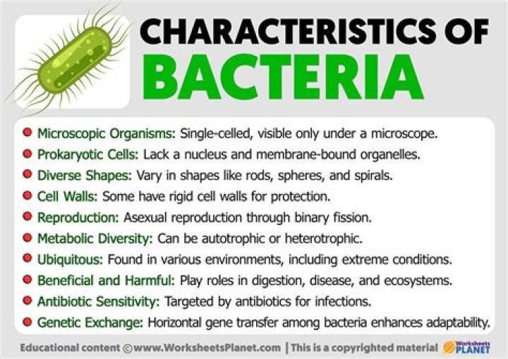 What are characteristics of bacteria?