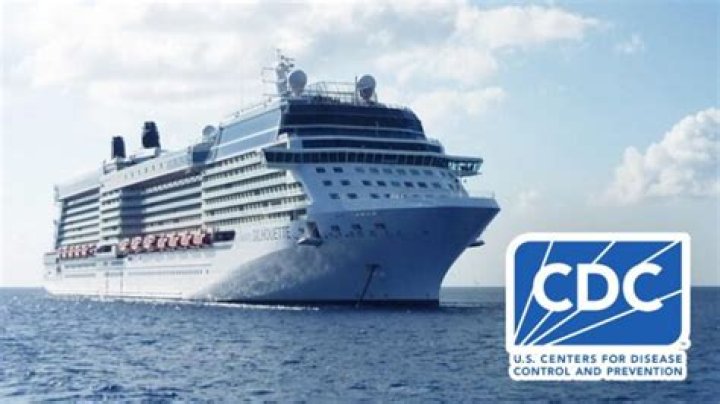 What are common viruses on cruise ships?
