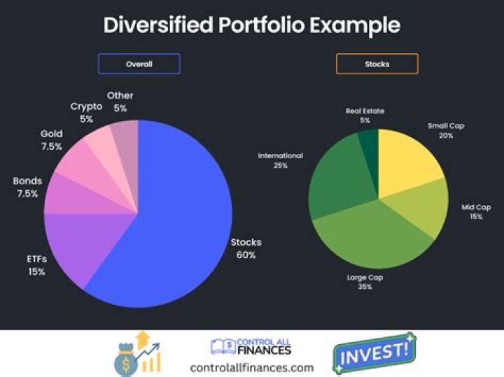 What are goals of an investment portfolio?