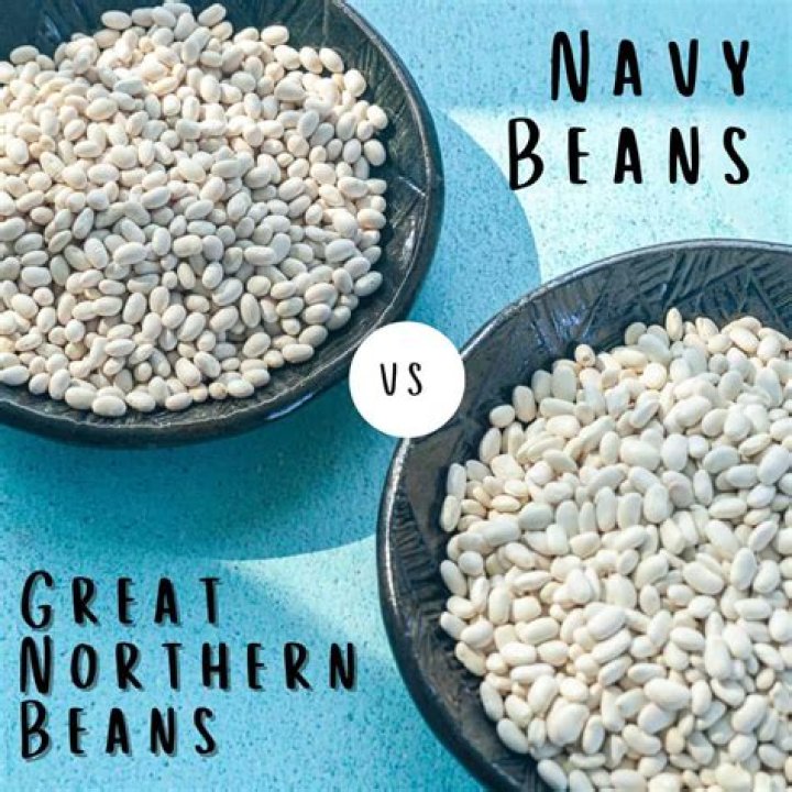 What are Great Northern beans also called