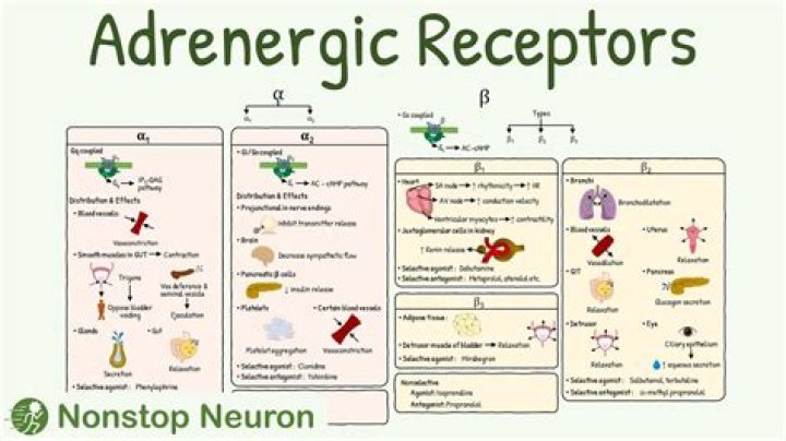 What are metabolic antagonists?