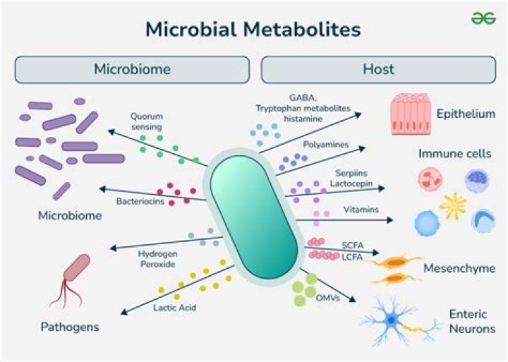 What are microbial cells?