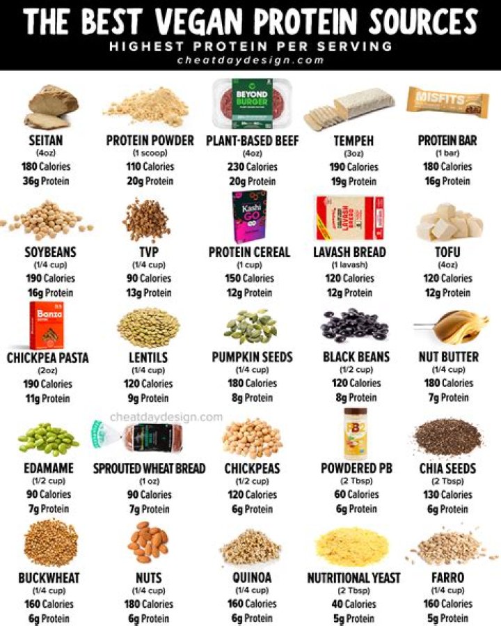 What are non dairy sources of protein?