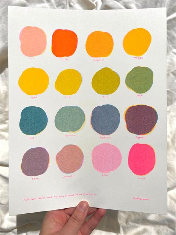 What are Riso colors?