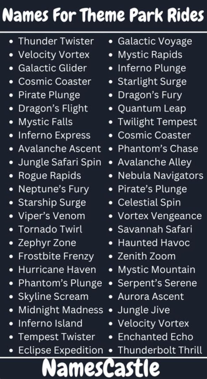 What are some amusement park ride names?