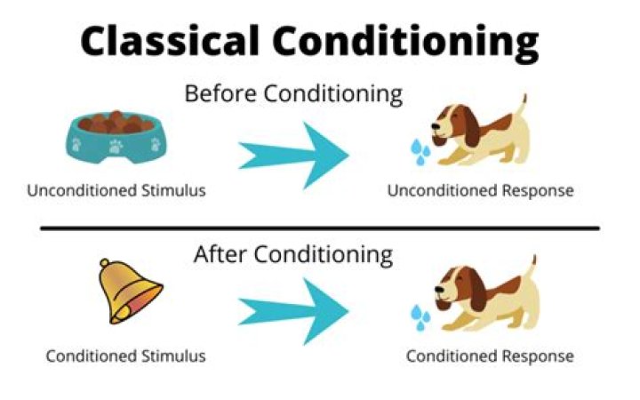 What are some examples of classical conditioning in everyday life?