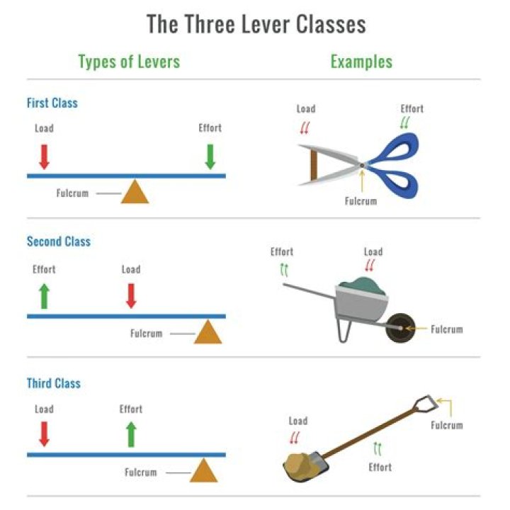 What are the 3 types of Labs?