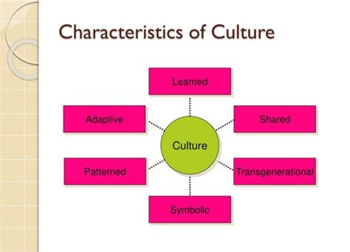 What are the 4 basic characteristics of culture?