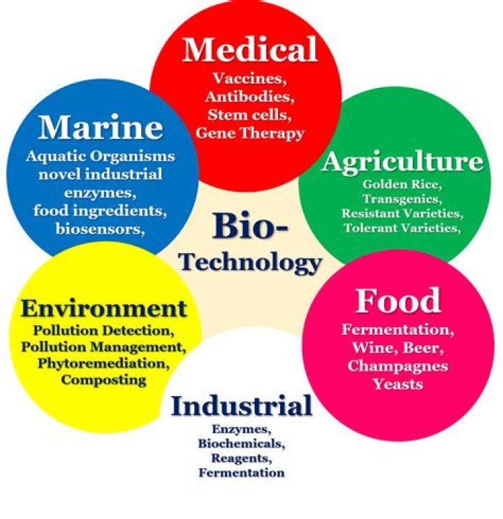 What are the 4 main areas of biotechnology?