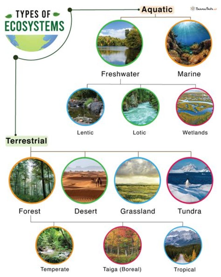 What are the 7 different ecosystems?