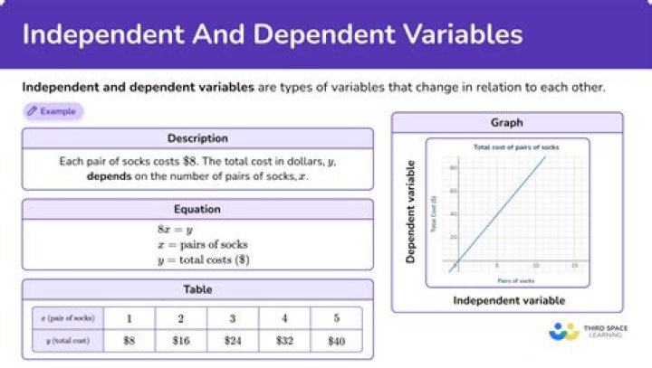 What are the 8 operational variables?