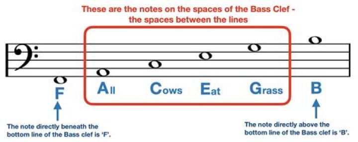 What are the bass clef lines and spaces?