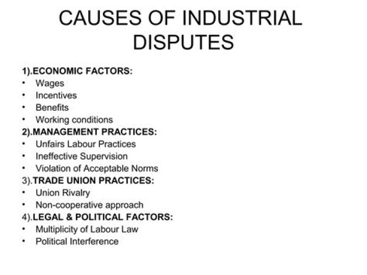 What are the causes of industrial disputes in India