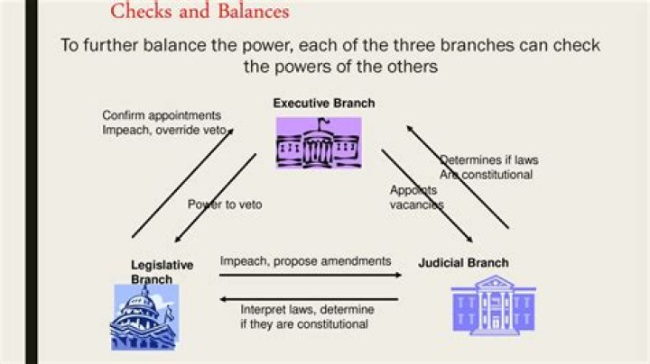 What are the checks and balances of the executive branch