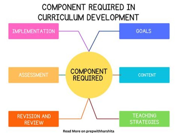 What are the curriculum responsibilities?