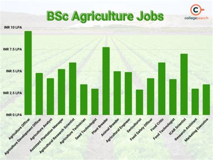 What are the job opportunities after B Sc Agriculture?