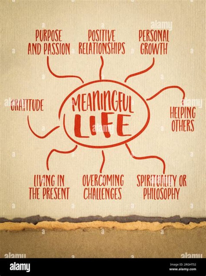 What are the meaningful use stages