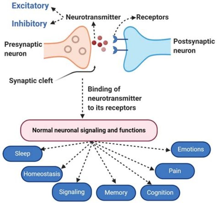 What are the neurotransmitters involved in depression?