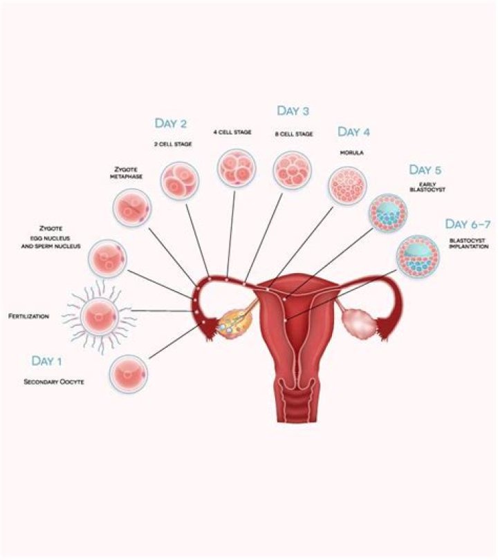 What are the signs of implantation?