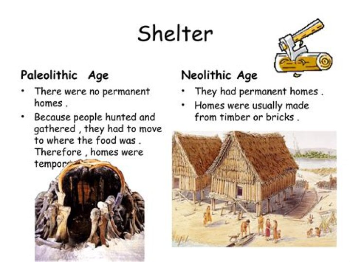 What are the similarities between Paleolithic and Neolithic ages?