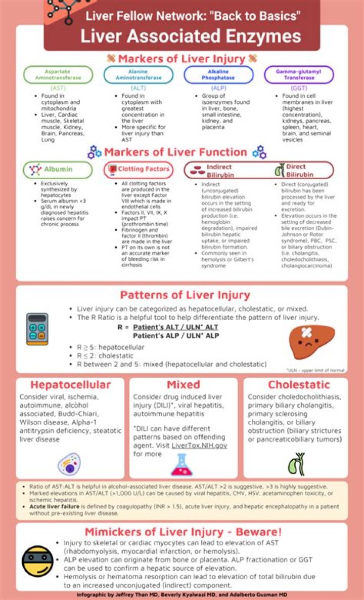 What can cause liver enzymes to be high?