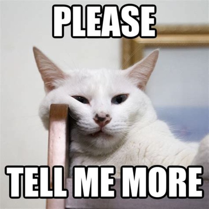 What can taphonomy tell us?