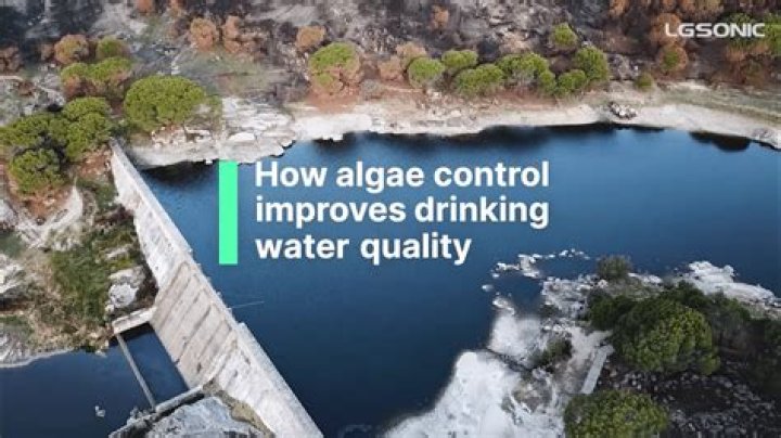 What causes algae in drinking water?