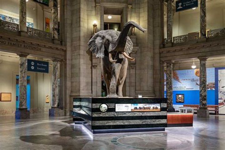 What days is the American Museum of Natural History closed?