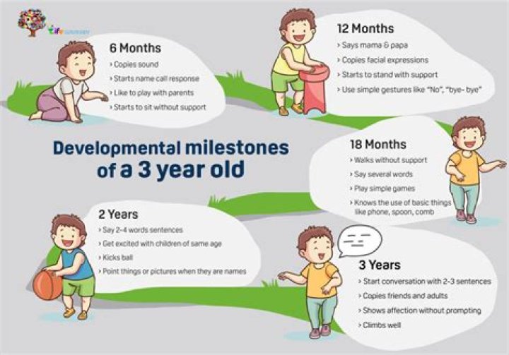What developments should a 3 year old have?