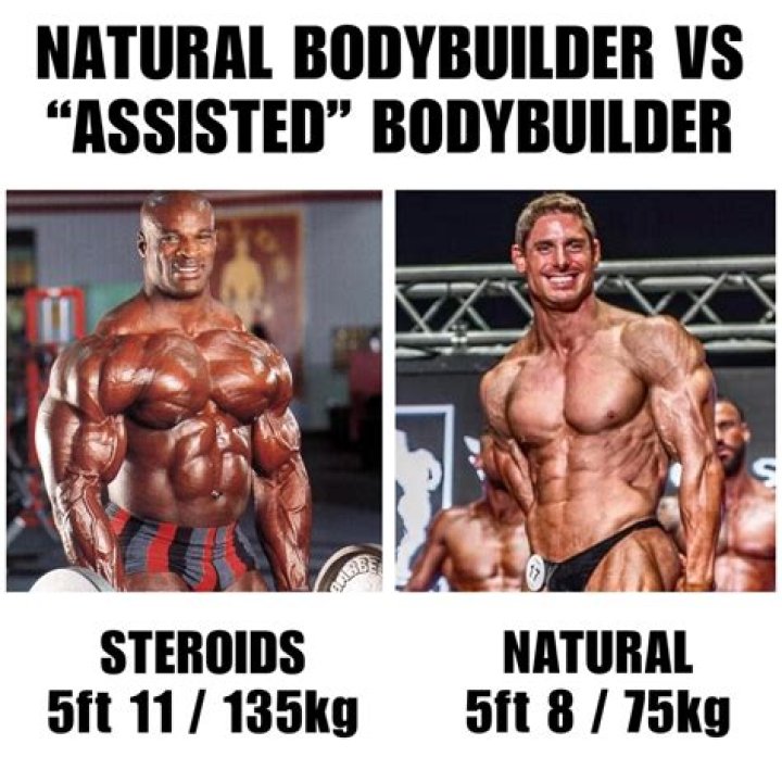What do bodybuilders do during off-season?