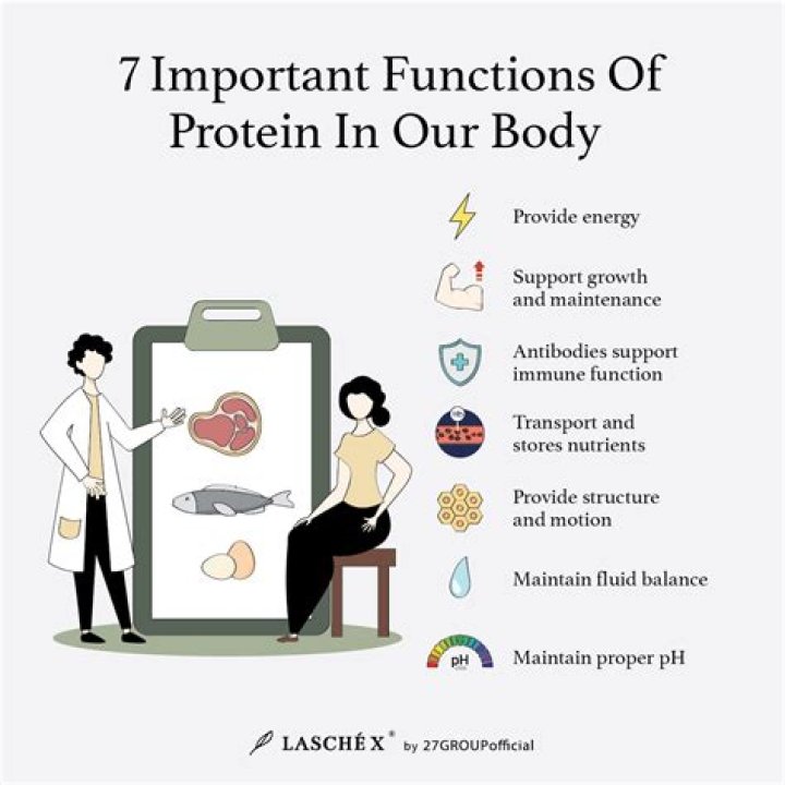 What do saponins do to your body?