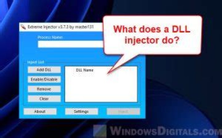 What does a DLL injector do?
