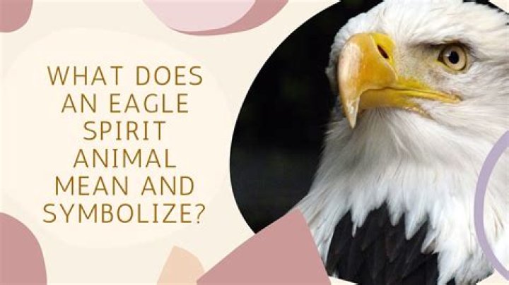 What does a eagle head symbolize?