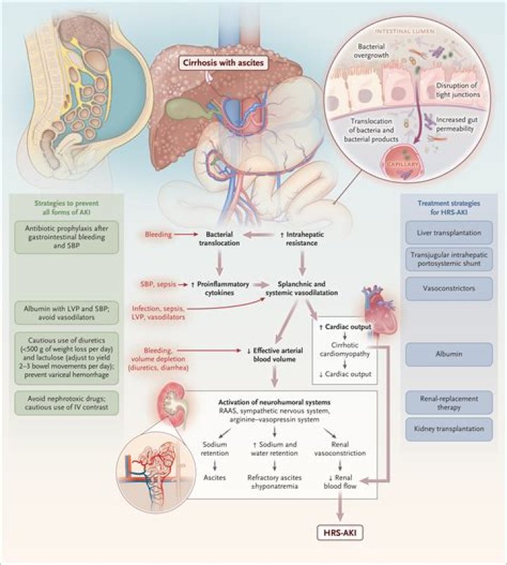 What does acute therapy mean