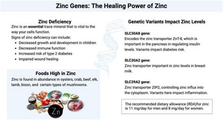 What does bio zinc help with?