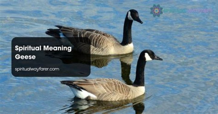 What does geese symbolize in the Bible?