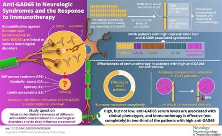 What does high GAD antibodies mean?