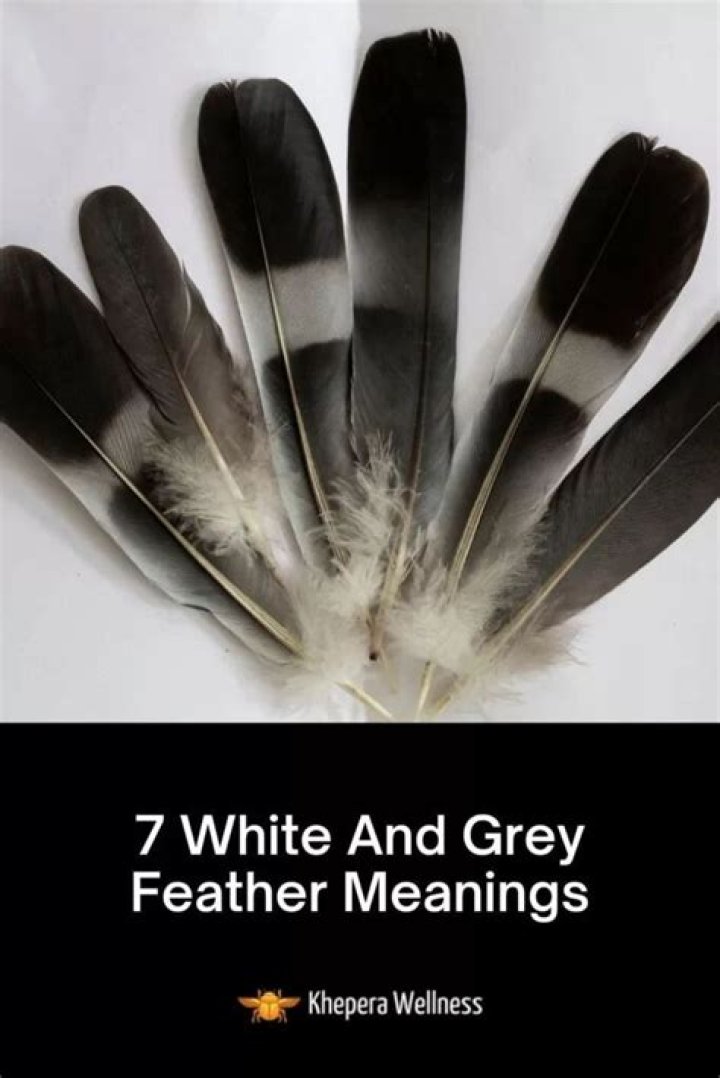 What does it mean when u see a GREY feather?