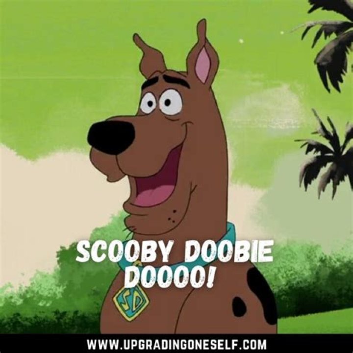 What does Scooby Dooby Doo say?