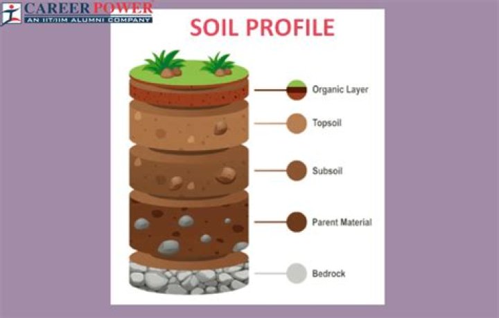 What does the term free soil mean?