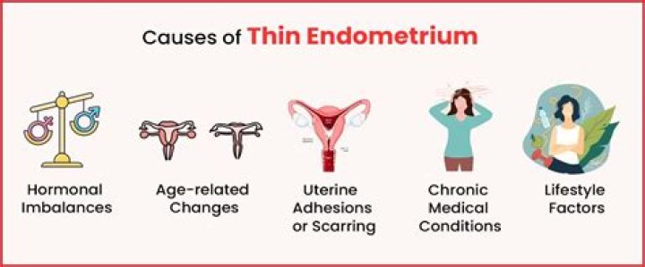 What does thin endometrial stripe mean?